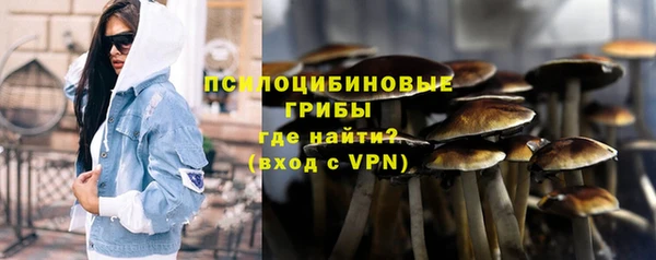 spice Алексеевка
