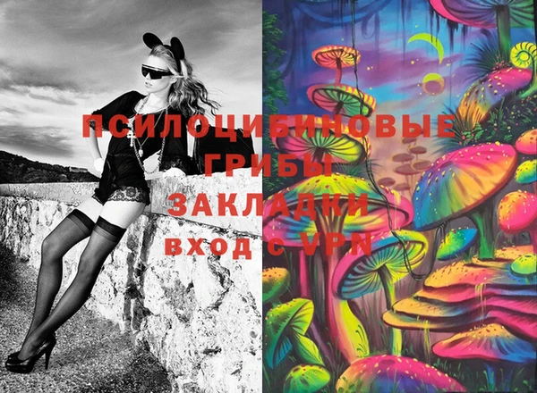 скорость Алексин