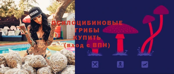 spice Алексеевка