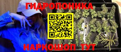 ПСИЛОЦИБИНОВЫЕ ГРИБЫ Нальчик
